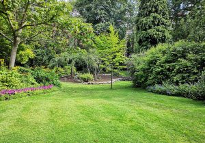 Optimiser l'expérience du jardin à Cordon